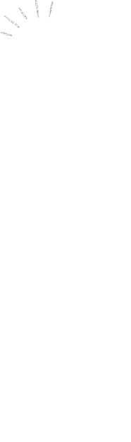 �����g�������Ȃ�t���C�p��