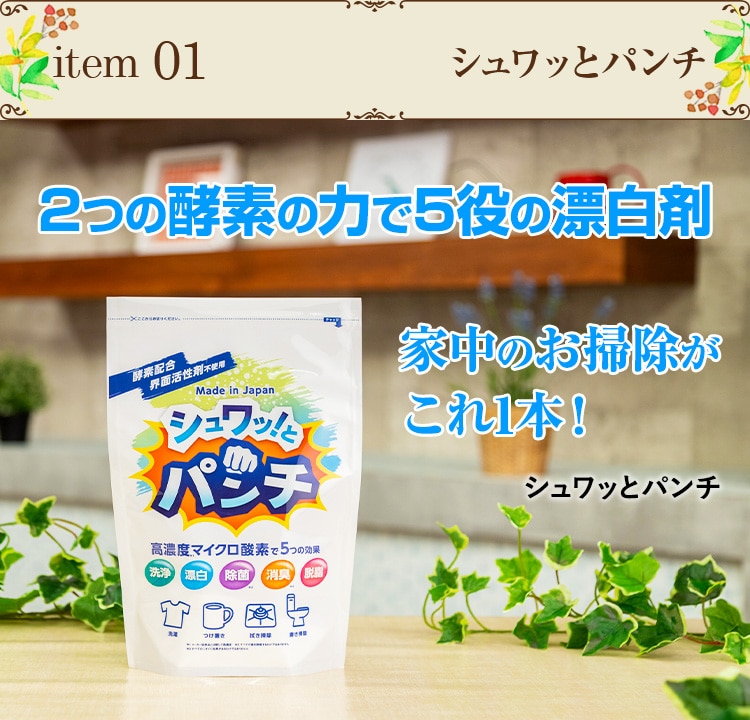 item01 2̍yf̗͂5̕Y ƒ̂|1{I Vbƃp`