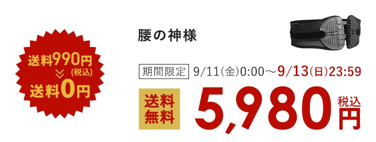 送料990円(税込)が送料0円 腰の神様 期間限定 9/11(金)0:00〜9/13(日)23:59 送料無料 5,980円(税込)