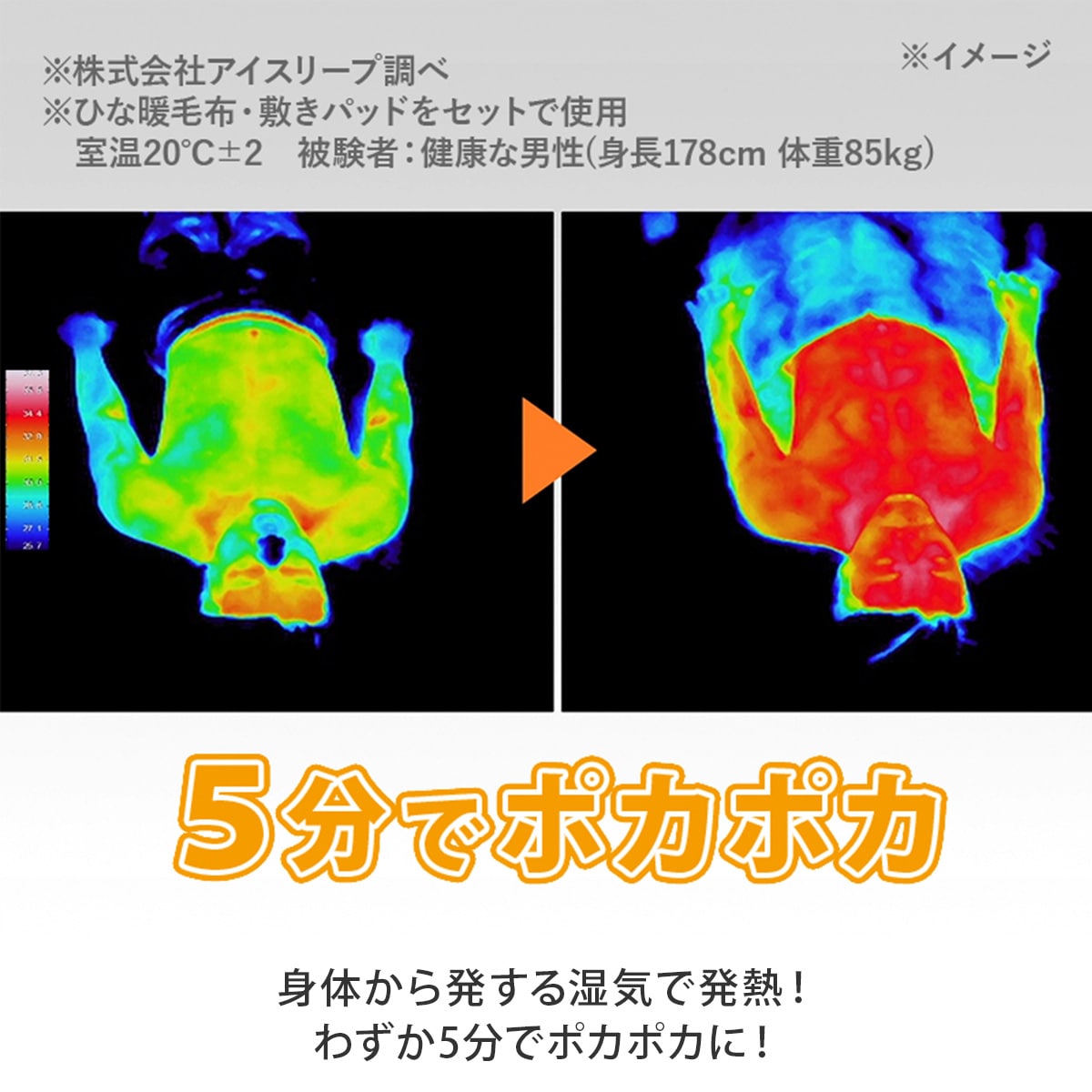 ひな暖ぬくぬくセット（毛布＋敷きパッド）｜テレビショッピング・通販 