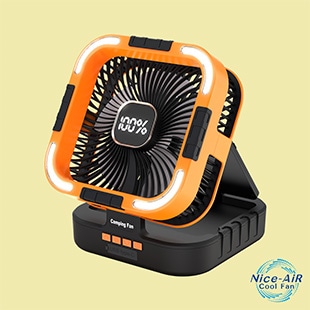 �i�C�X�G�A�[�N�[���t�@��