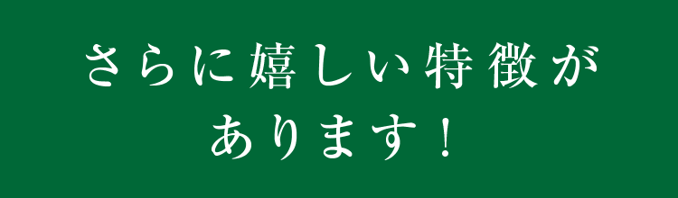Ɋ܂I