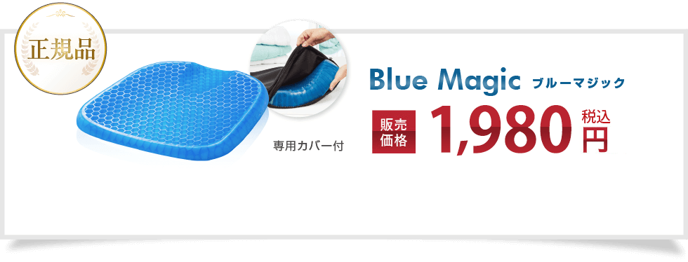 正規品 Blue Magic ブルーマジック(専用カバー付き) 販売価格 9,980円+税