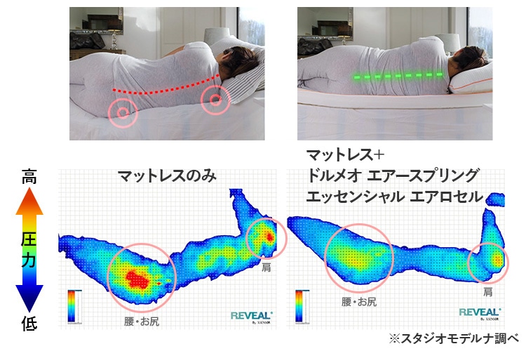 ドルメオ エアースプリング エッセンシャル エアロセル|テレビ