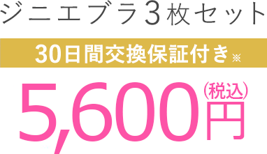 WjGu3Zbg 5,600~(ō) 30Ԍۏؕt