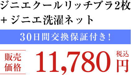 WjGN[b`u2{WjGlbg 30ԌۏؕtI ̔i 11,780~iōj