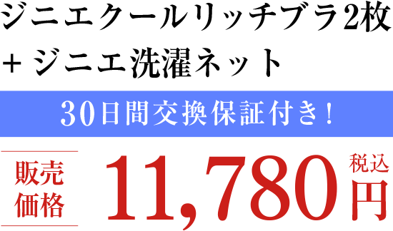 ジニエクールリッチブラ2枚＋ジニエ洗濯ネット 30日間交換保証付き！ 販売価格 11,780円（税込）
