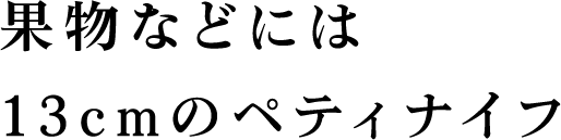 ʕȂǂɂ13cm̃yeBiCt