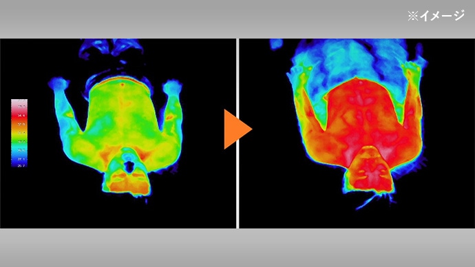 ���C���[�W