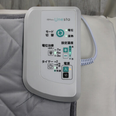 �C�I�l�X���l�X�^�̑���Օ����̉摜