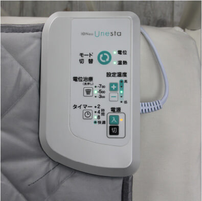 �C�I�l�X���l�X�^�̑���Օ����̉摜