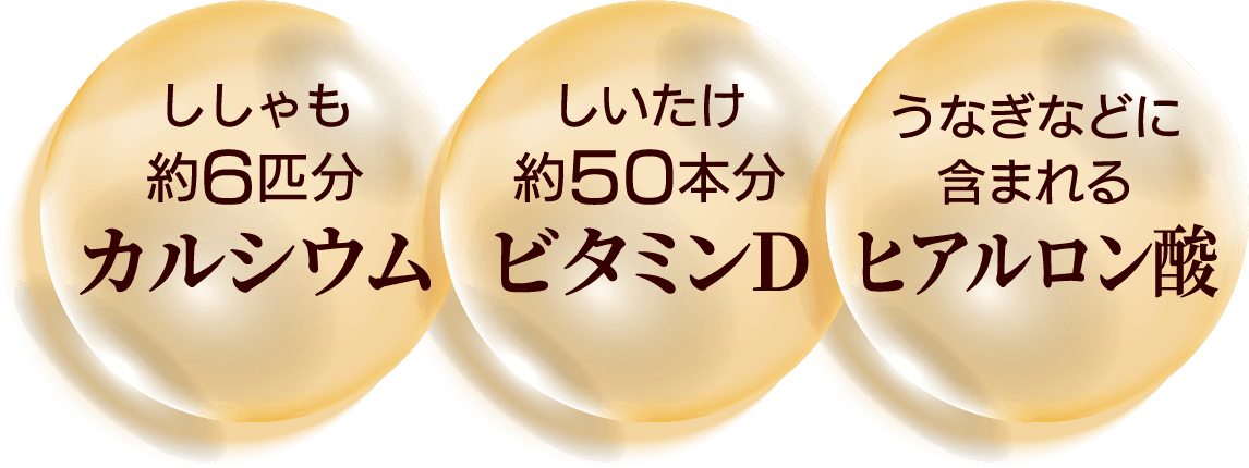 �E���������6�C���́u�J���V�E���v�E����������50�{���́u�r�^�~��D�v�E���Ȃ��ȂǂɊ܂܂��u�q�A�������_�v