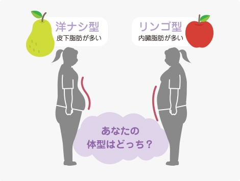 洋ナシ型 リンゴ型 あなたの体型はどっち？