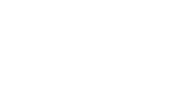 񂵂1Nۏ