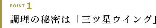 POINT1 ̔閧́uOcECOv