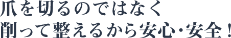 ܂؂̂ł͂ȂĐ邩SES!