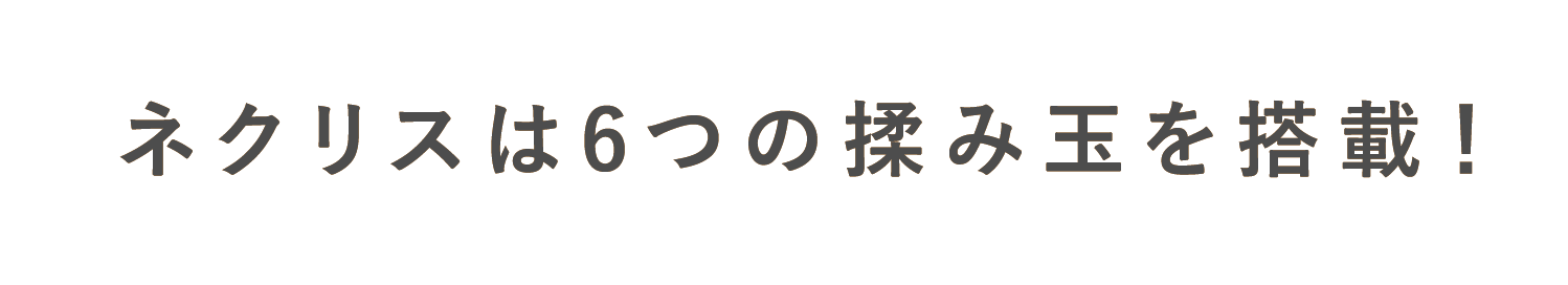 lNX6̝݋ʂ𓋍ځI