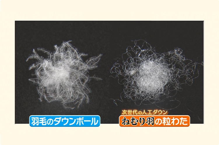 �H�т̃_�E���{�[���Ǝ�����̐l�H�H�� �˂ނ�H�̗��킽