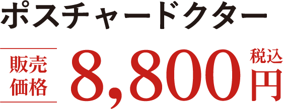 |X`[hN^[ ̔i 8,800~iōj