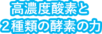 Zx_f2ނ̍yf̗