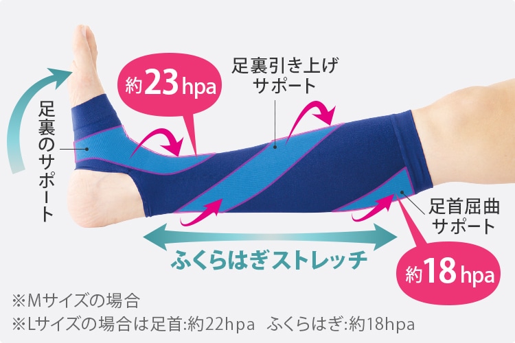 MTCY̏ꍇ͑񂪖23hpaAӂ͂18hpa LTCY̏ꍇ͑񂪖22hpaAӂ͂18hpa