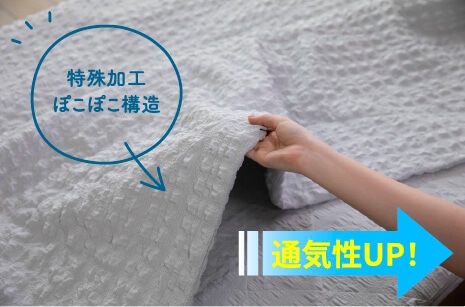 ������H�̂ۂ��ۂ��\�� �ʋC��UP!