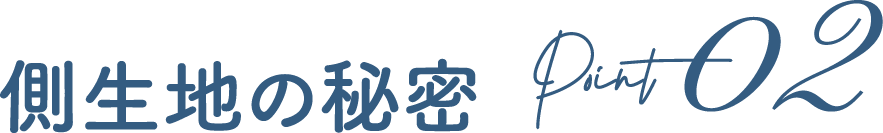 point02 �����n�̔閧