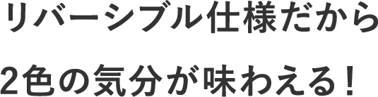 ���o�[�V�u���d�l������2�F�̋C�������킦��I