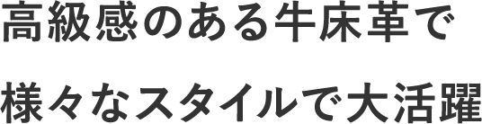 �������̂��鋍���v�ŗl�X�ȃX�^�C���ő劈��