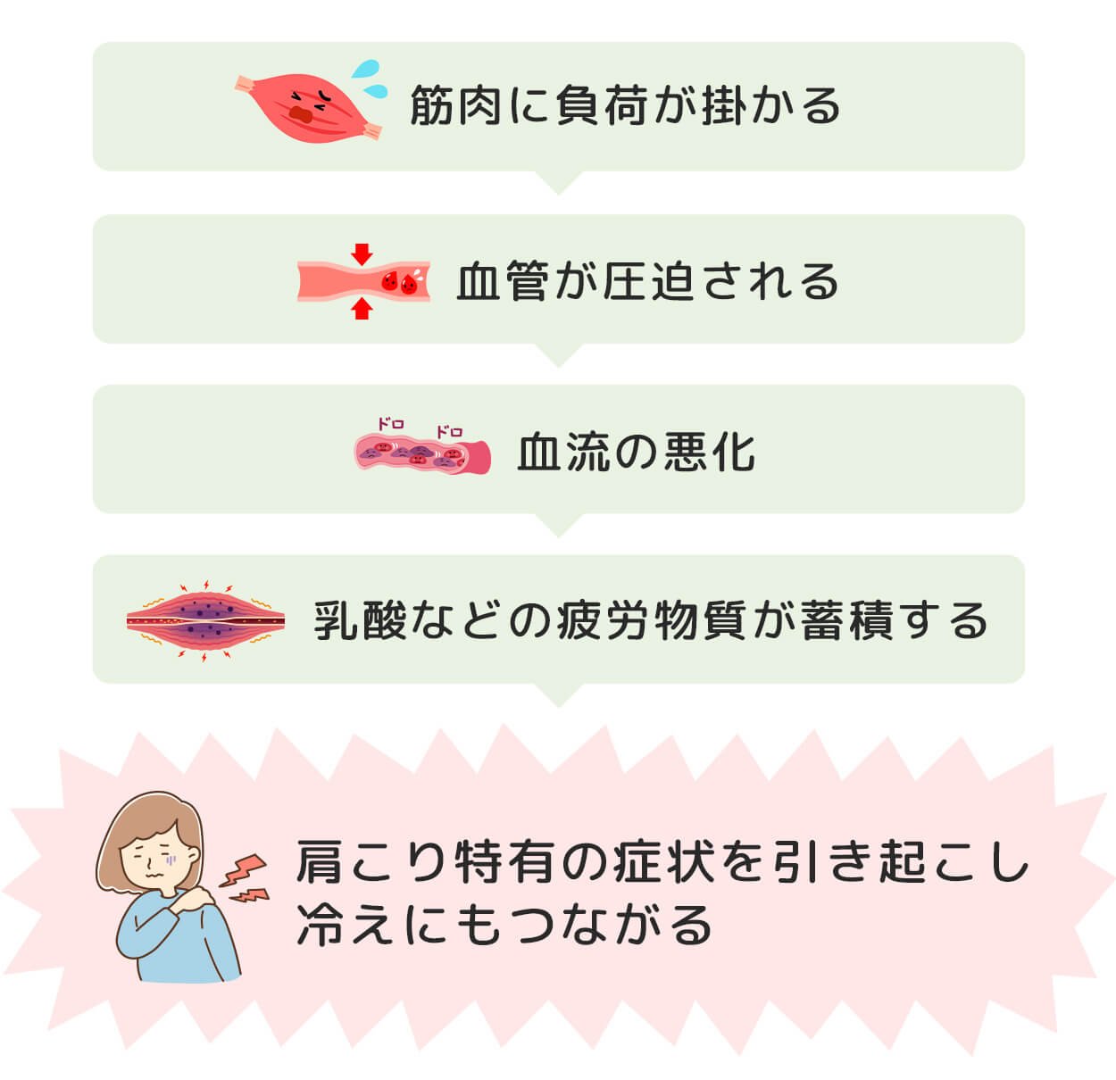 筋肉に負荷が掛かる 血管が圧迫される 血流の悪化 乳酸などの疲労物質が蓄積する 肩こり特有の症状を引き起こし 冷えにもつながる