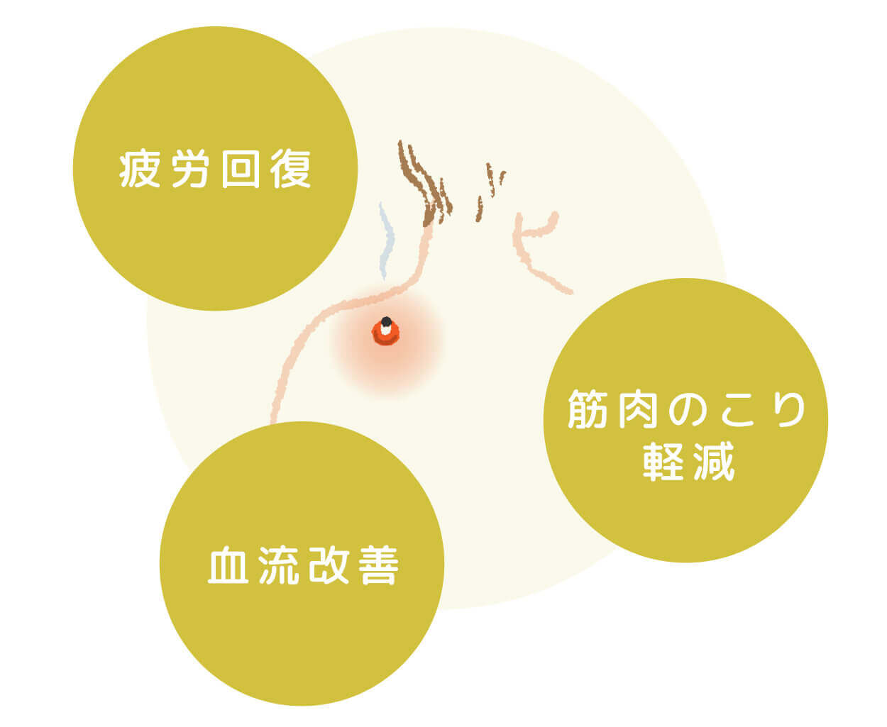 疲労回復 筋肉のこり軽減 血流改善