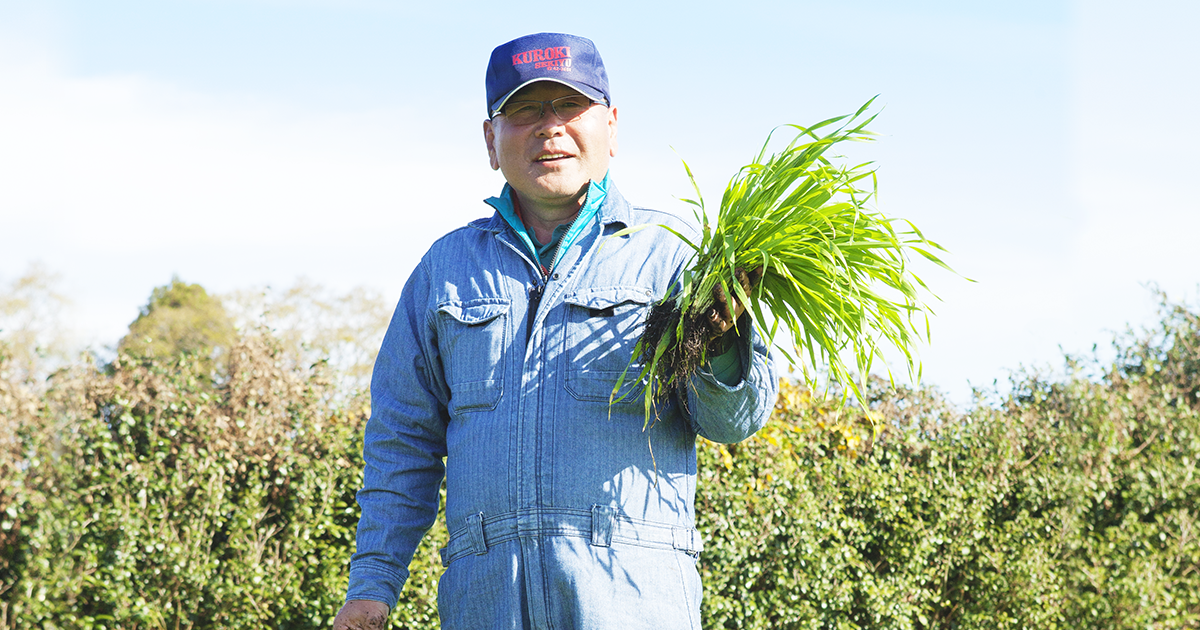 宮崎県「霧島下ろし」にあらがう、大麦若葉の生命力：青汁三昧｜テレビショッピング・通販のダイレクトテレショップ